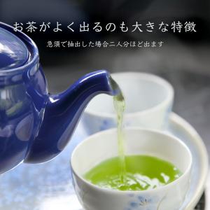 お茶 ティーバッグ 玉露 八女茶 ゆのみ用 3...の詳細画像3