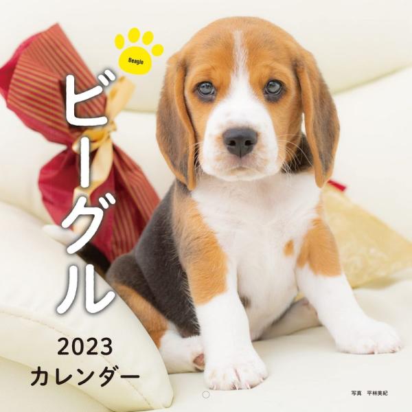 2023年カレンダー ビーグル (誠文堂新光社カレンダー)