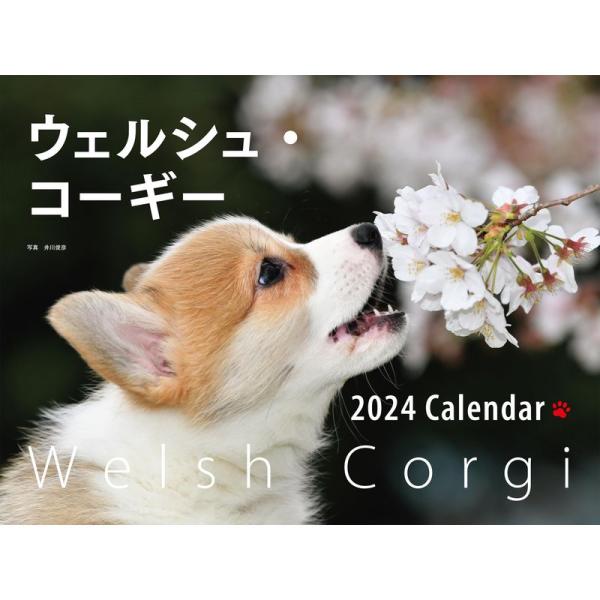 2024年カレンダー ワイド判 ウェルシュ・コーギー (誠文堂新光社カレンダー)
