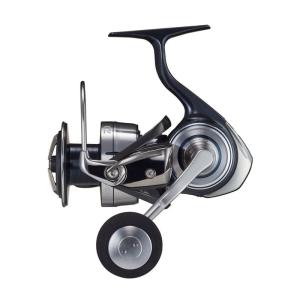 ダイワ(DAIWA) スピニングリール セルテート SW 6000-P｜yammy-yammy