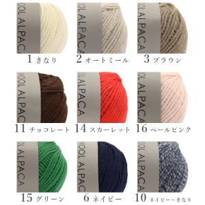 毛糸 並太 ウール アルパカ / DARUMA...の詳細画像3