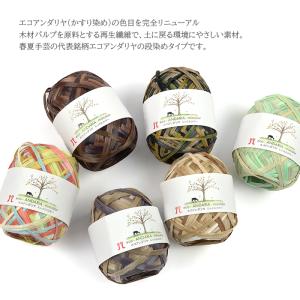 エコアンダリア 糸 / Hamanaka(ハマ...の詳細画像1