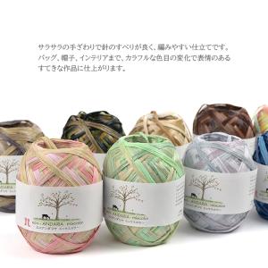 エコアンダリア 糸 / Hamanaka(ハマ...の詳細画像5