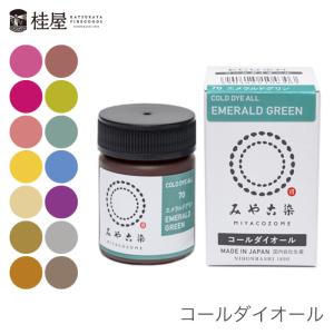 染料 染め粉 染め料 Tシャツ染め / 桂屋ファイングッズ