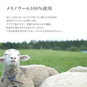 毛糸 並太 ウール 100% メリノウール /...の詳細画像5