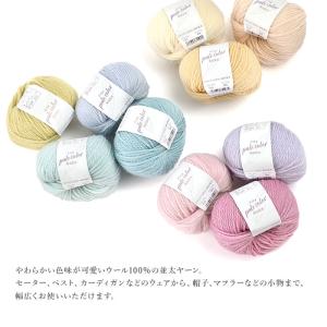 毛糸 アウトレット まとめ買い 5玉 / シテ...の詳細画像2