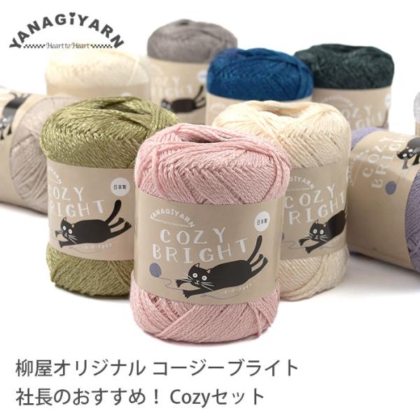 送料無料 毛糸 福袋 柳屋オリジナル / YANAGIYARN コージーブライト 社長のおすすめ！ ...