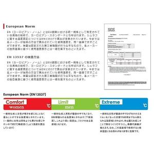 (即納)AURORA 450DX KA-R (...の詳細画像3