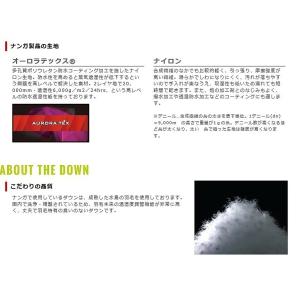 (即納)AURORA 450DX KA-R (...の詳細画像4