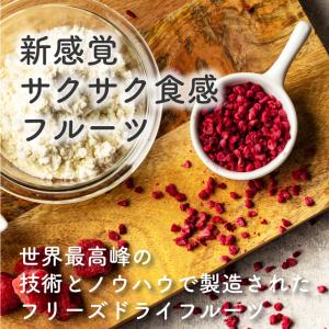 フリーズドライフルーツ フリーズドライ ラズベ...の詳細画像1