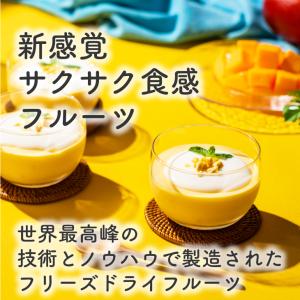 フリーズドライフルーツ フリーズドライ マンゴ...の詳細画像1
