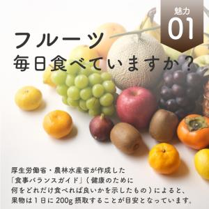 フリーズドライフルーツ フリーズドライ マンゴ...の詳細画像3
