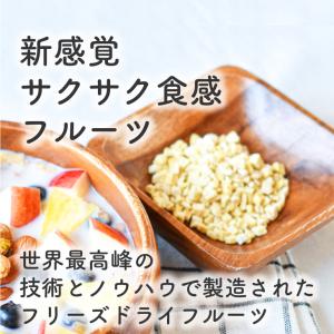 フリーズドライフルーツ フリーズドライ バナナ...の詳細画像1