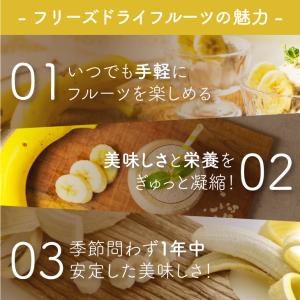 フリーズドライフルーツ フリーズドライ バナナ...の詳細画像2