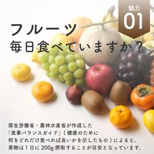 フリーズドライフルーツ フリーズドライ バナナ...の詳細画像3