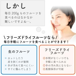 フリーズドライフルーツ フリーズドライ バナナ...の詳細画像4