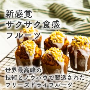 フリーズドライ 黄桃 60g ( ダイスカット...の詳細画像1
