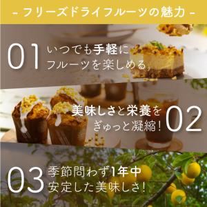 フリーズドライ 黄桃 60g ( ダイスカット...の詳細画像2