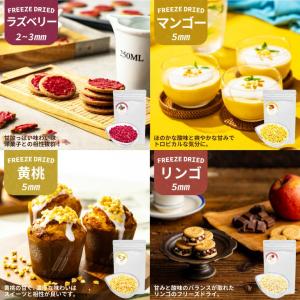 フリーズドライフルーツミックス 選べる3種類セ...の詳細画像3