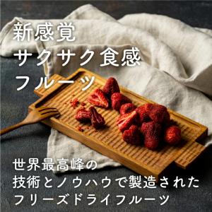 フリーズドライフルーツミックス 選べる3種類セ...の詳細画像5