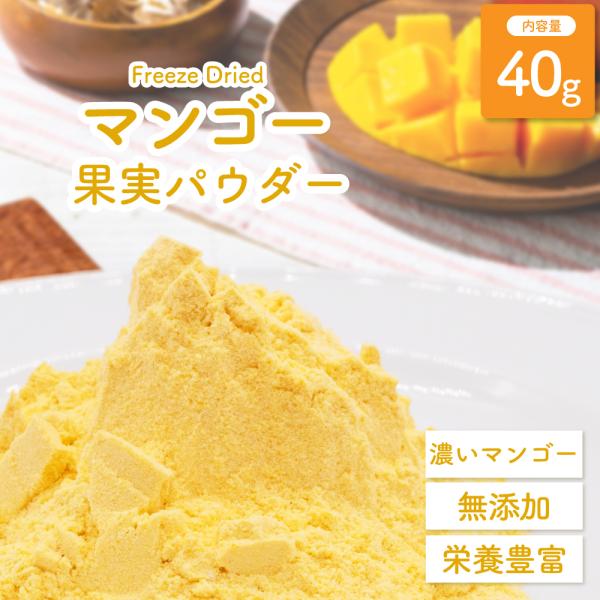 フリーズドライ マンゴー果実パウダー 40g 添加物不使用 マンゴー100％ フルーツパウダー 製菓...