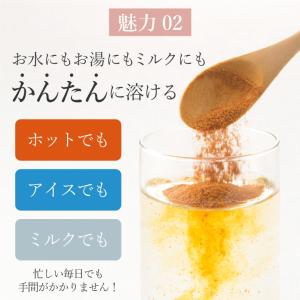 紅茶 パウティー ストレート 80g 無糖 ス...の詳細画像4