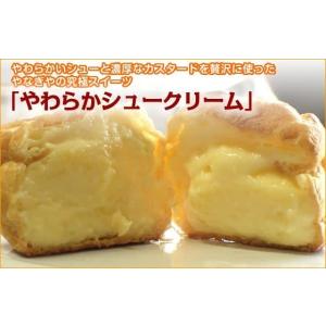 シュークリーム　カスタード １８個セット　お菓子　スイーツ