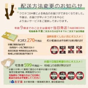 [新発売・水着と同時購入で送料無料]水泳帽子 ...の詳細画像3