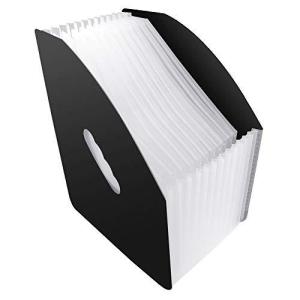 DAMIGRAM ドキュメントスタンド ファイルボックス A4 ドキュメントファイル 書類収納 オルガン式ファイル 収納ケース 伸縮仕様 大容量
