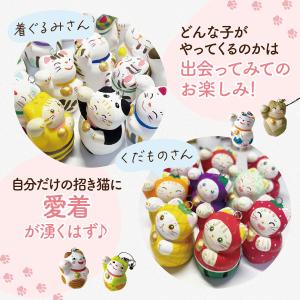 送料無料 366日誕生日の招き猫ストラップ(占...の詳細画像3