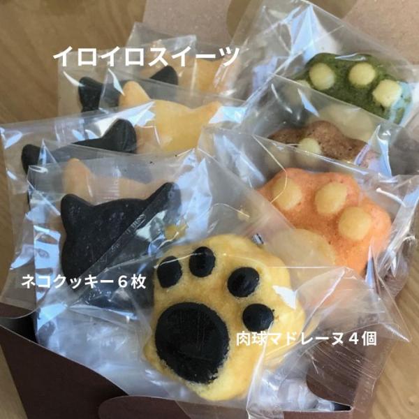 バターの香り広がる マドレーヌ「イロイロスイーツ10個セット 」お返し クッキー 焼き菓子 ギフト ...
