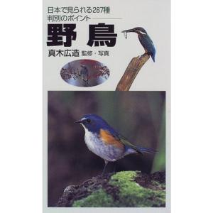 野鳥?日本で見られる287種判別のポイント｜yanbaru