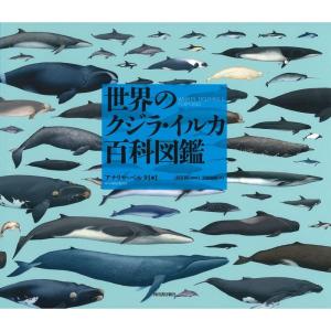 世界のクジラ・イルカ百科図鑑｜yanbaru