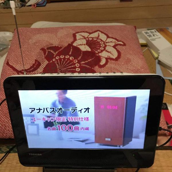 TOSHIBA REGZA 防水対応ポータブルDVD SD-P100WP