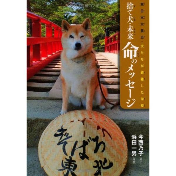 東日本大震災・犬たちが避難した学校 捨て犬・未来 命のメッセージ (ノンフィクション・生きるチカラ)