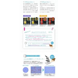 水素水生成器 充電式 携帯 高濃度 美ルルアク...の詳細画像5