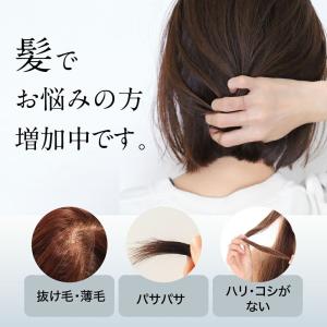 【送料無料】美ルル ブリリアントヘアーミニ ヘ...の詳細画像2