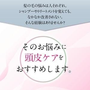 【送料無料】美ルル ブリリアントヘアーミニ ヘ...の詳細画像3
