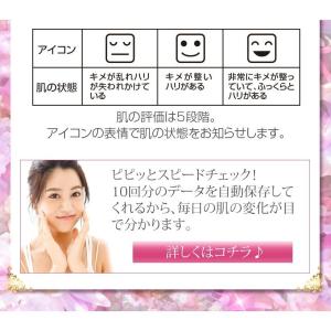 美顔器 毛穴 イオン導入 保湿 乾燥対策 美ル...の詳細画像5