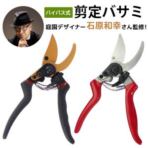 剪定ばさみ サクサク切れる 2段階調節可能 家庭菜園 強力 はさみ ハサミ 庭 木 剪定バサミ 剪定鋏 せんていばさみ 園芸 枝切り 枝 切り ロック 25mm
