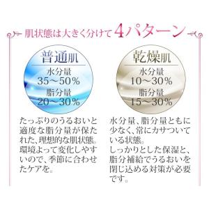 乾燥対策 肌チェック 電池式 美肌 測定 美ル...の詳細画像3