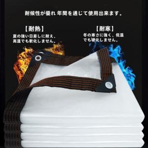 防水シート 防水透明シート PE 高品質 防塵...の詳細画像1