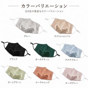 【 送料無料 】シルクマスク マスク シルク1...の詳細画像2
