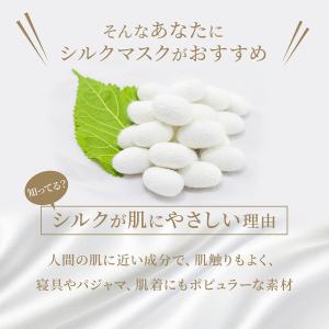 【 送料無料 】シルクマスク マスク シルク1...の詳細画像5