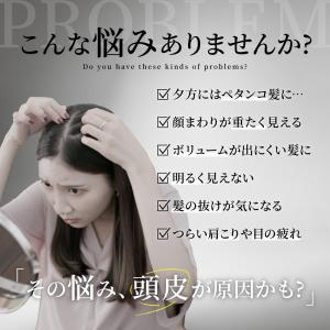 【新商品】【 送料無料 】スカルプブラシ 頭皮...の詳細画像1