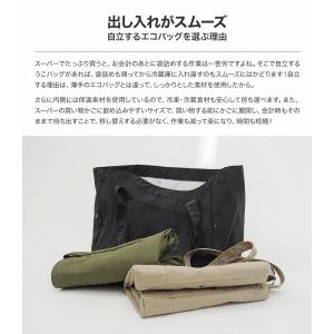 【送料無料】エコバッグ 保冷 エコバッグ レジ...の詳細画像2