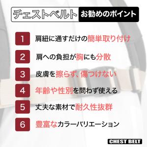 チェストベルト リュックズレ落ち防止 バックル...の詳細画像3