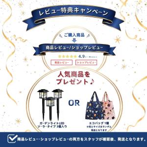 携帯スリッパ レディース 女性 収納バッグ付き...の詳細画像1