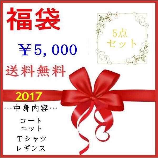 ￥福袋 めちゃカワ 5枚入り  売切御免  返品不可 送料無料 秋