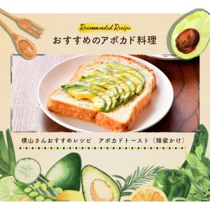 【2026年 秋冬出荷予定分 受付中】「ひなた...の詳細画像5